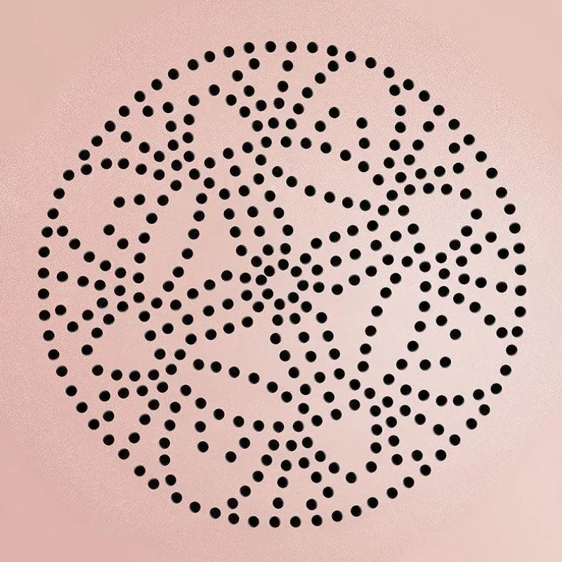 Air Cushion BB Cream