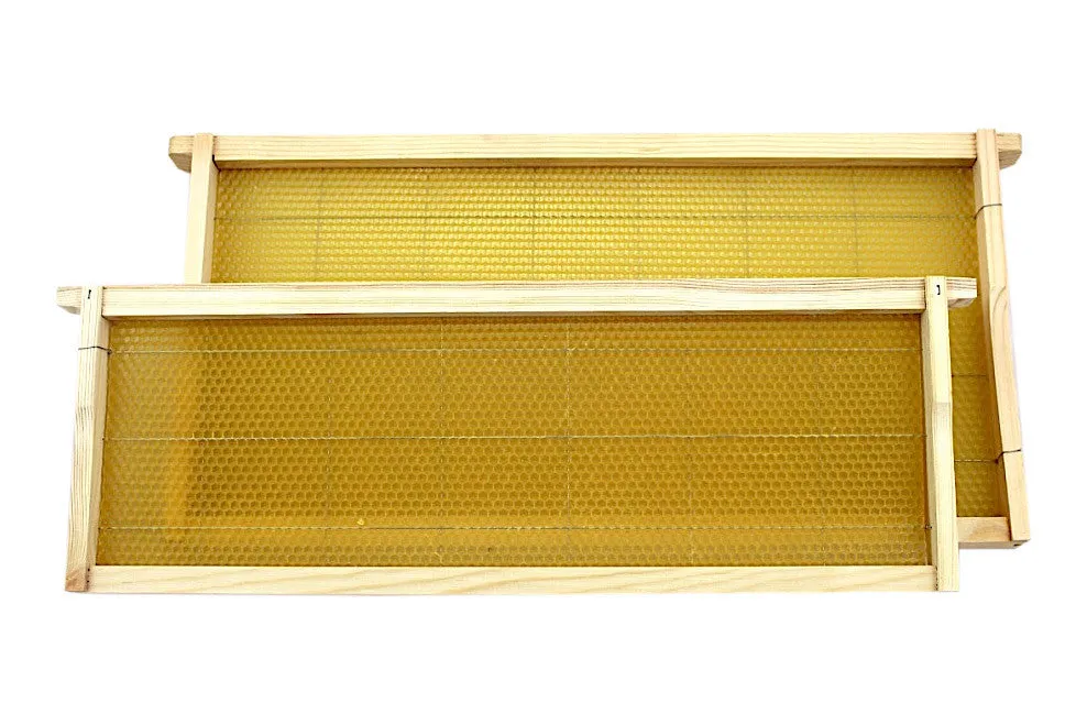 Assembled Deep Wooden Frame with Wired Wax Foundation - Box of 20