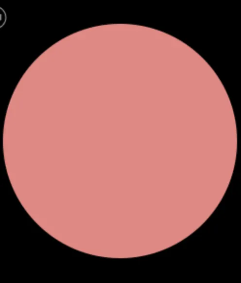 Blush Makeup Cosmetics Blush