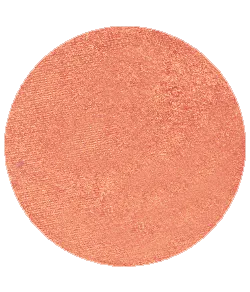 Blush Makeup Cosmetics Blush