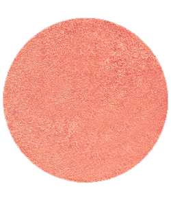 Blush Makeup Cosmetics Blush