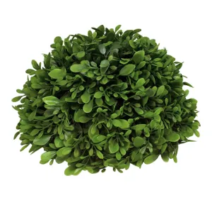 Boxwood Ball - 9 in diameter