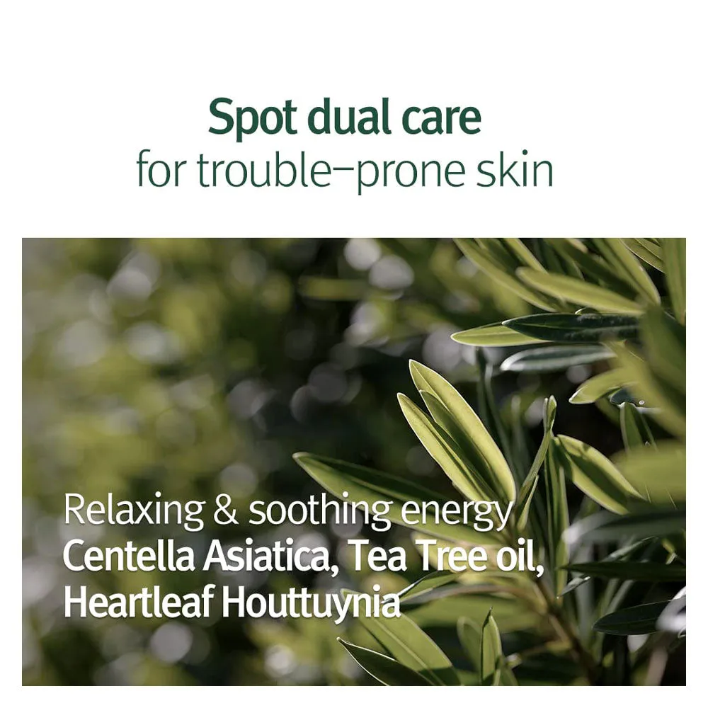 Calming Clear Spot Patch (Slim Care) [145 patches]