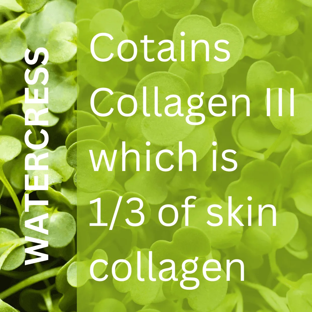 Collagen Boost Serum