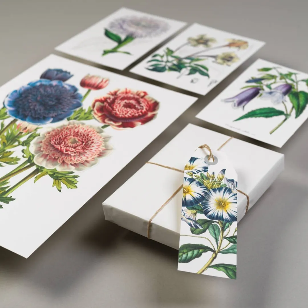 Flowers Papercraft Book