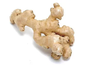 Ginger root, Zingiber officinales, Essential Oil Healing Water