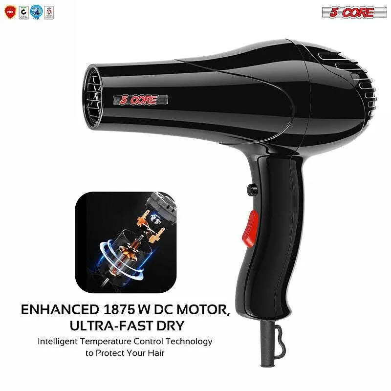 Hair Blow Dryer Professional Lightweight Hair Dryer Ionic Men Women Blower 1875W Ceramic Quiet Styling Pik 5 Core HD S
