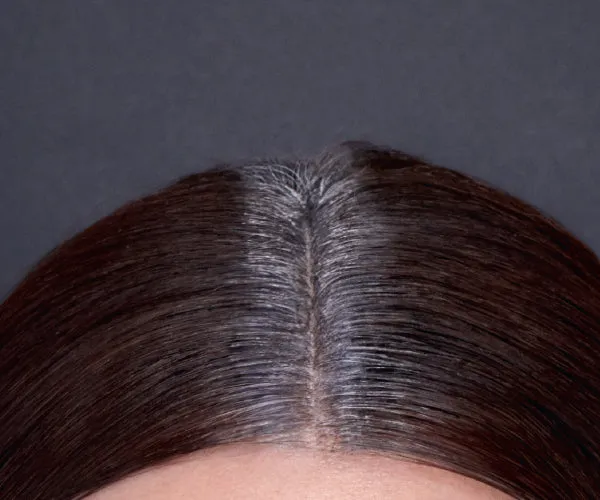 Hair Touch Up - Brown