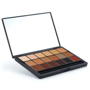 Inclusion Foundation Super Palette