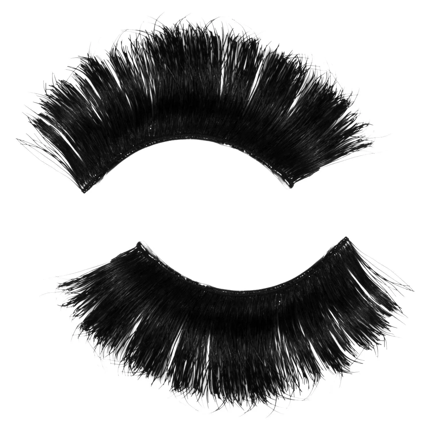 Lash Out