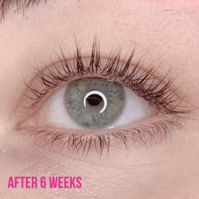 Lash Treatment Serum