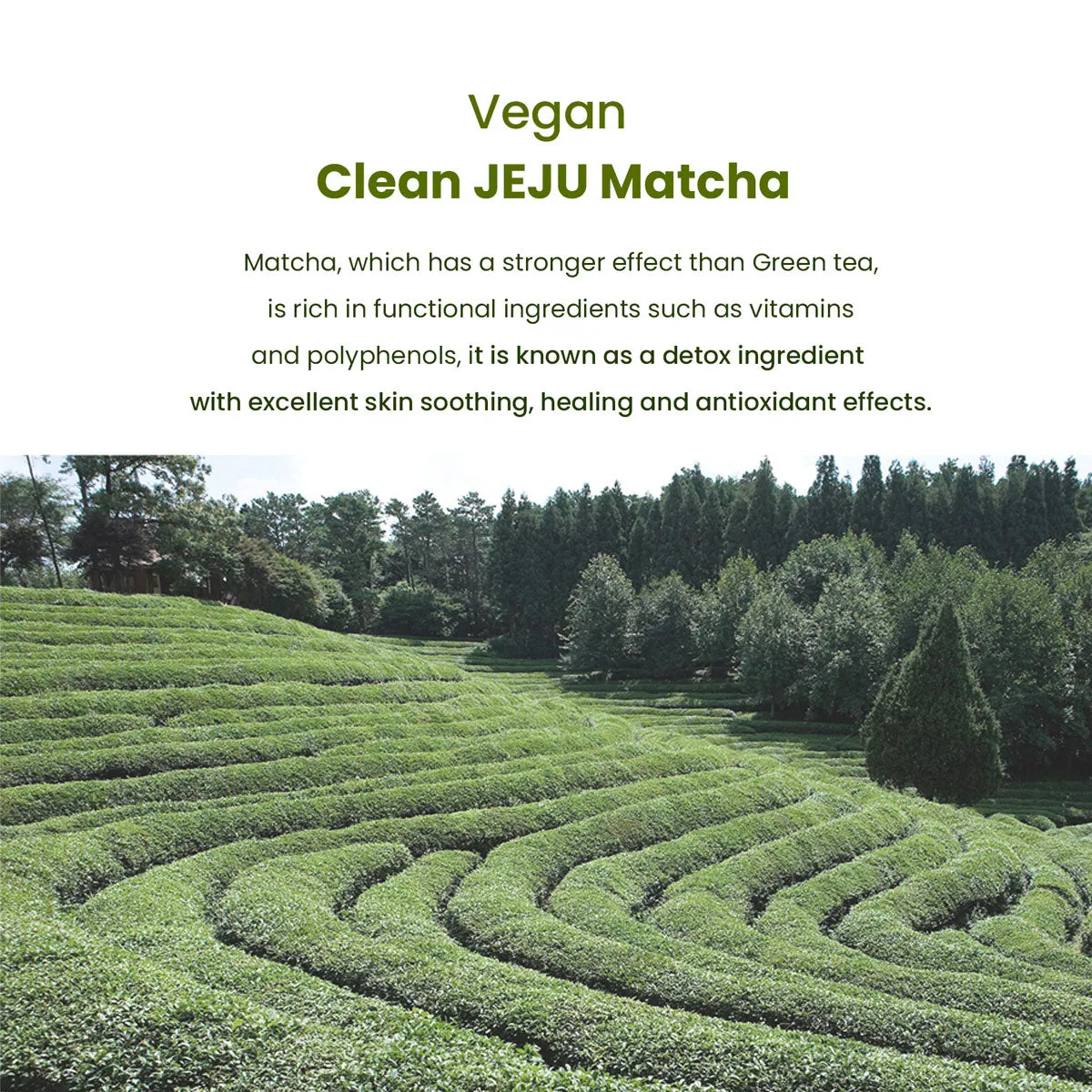 Matcha Biome Hydrogel Eye Patch 1.4g/0.05oz *60pcs