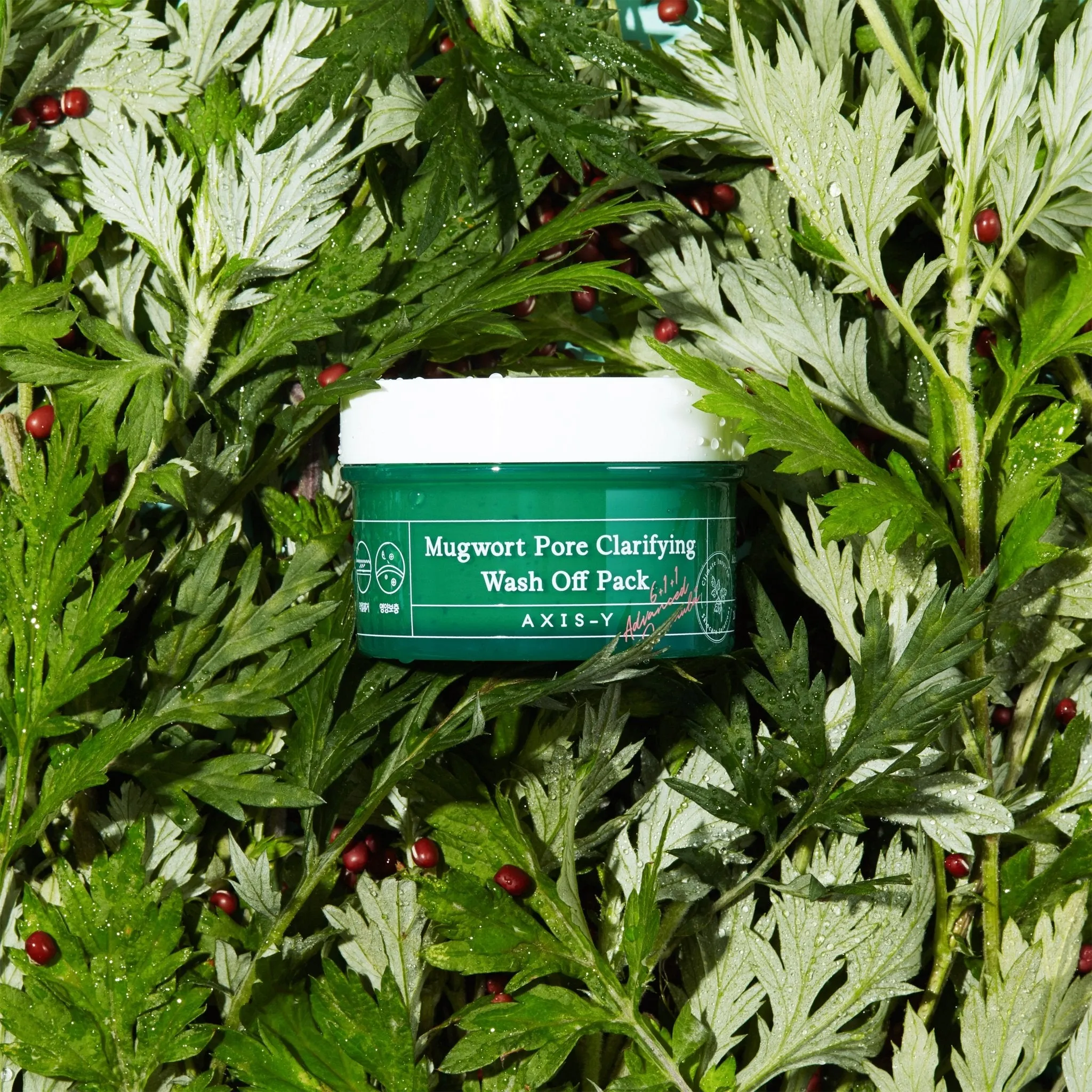 Mugwort Pore Clarifying Wash Off Pack 100ml