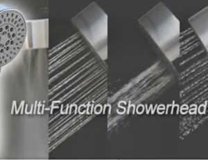 Multi-Function Showerhead