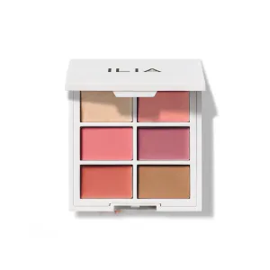 MULTI-STICK FACE PALETTE