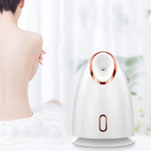 Nano Thermal Spray Moisturizing Face Steamer