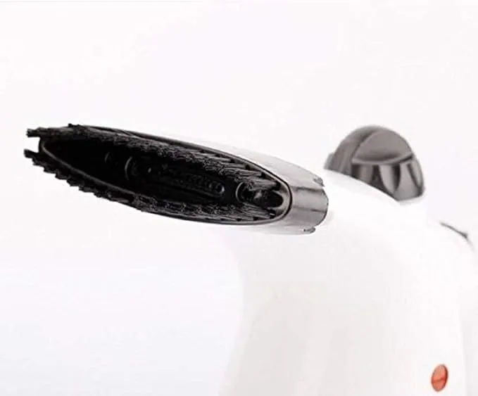 Portable RZ-608 Handheld Facial Steamer and Garment Steam Iron, 350W(Facial)/ 750W(Steamer), Multicolour