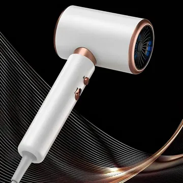 Professional Ionic Hairdryer