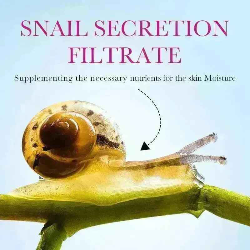 Snail Recombinant Collagen Anti-wrinkle Face Cream
