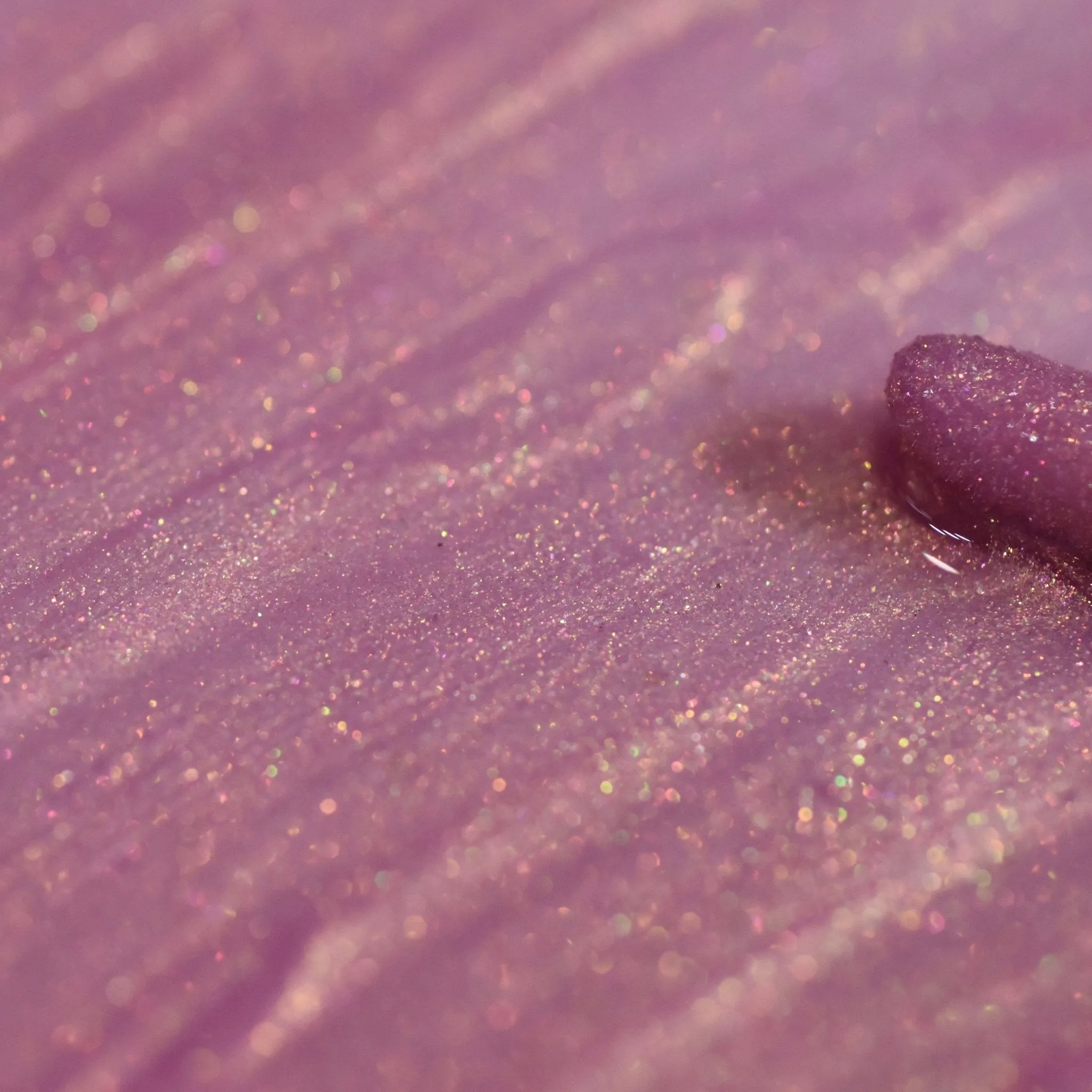 Wildflower Fairy Reign or Shine Gloss