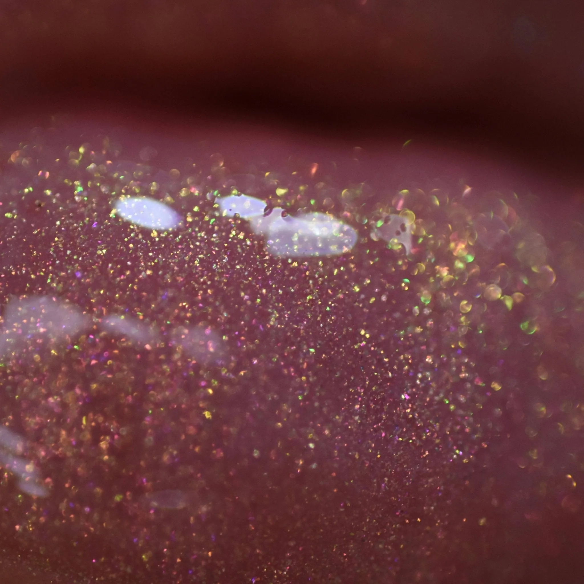 Wildflower Fairy Reign or Shine Gloss