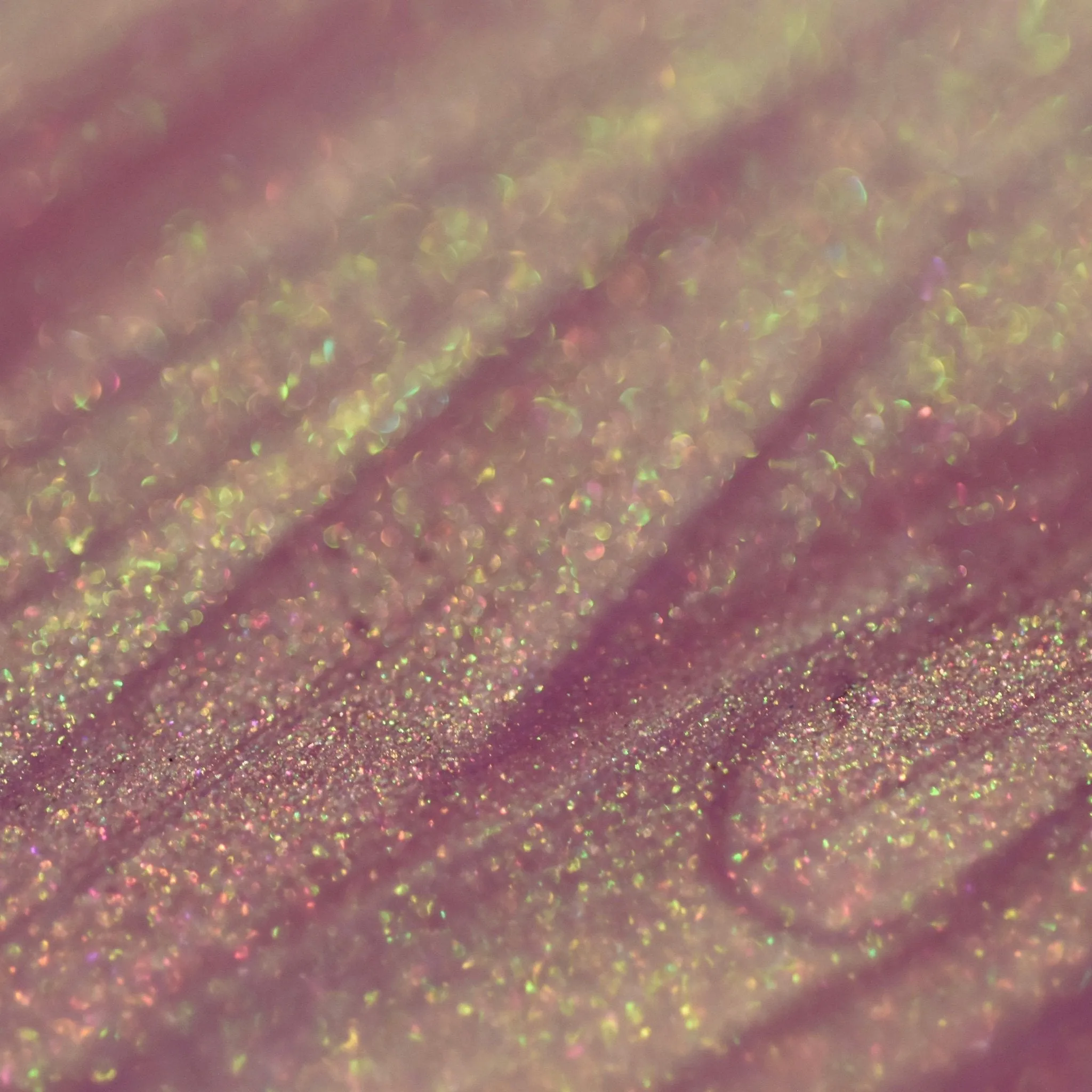 Wildflower Fairy Reign or Shine Gloss