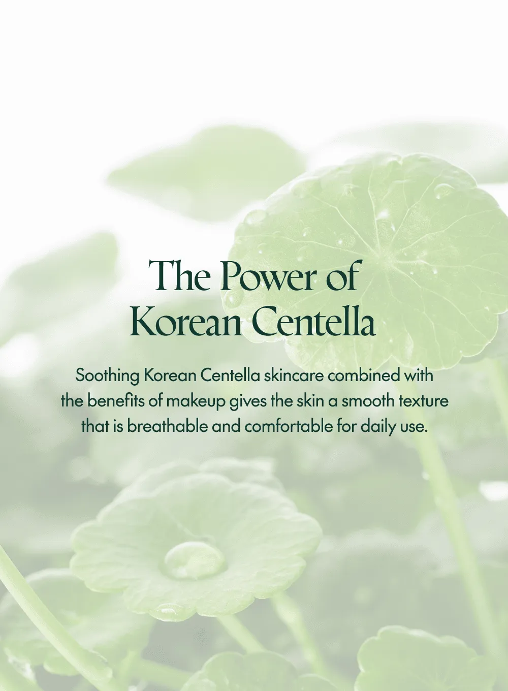 Wonder Releaf Centella  BB Cushion (15g * 2ea)